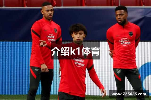 介绍k1体育